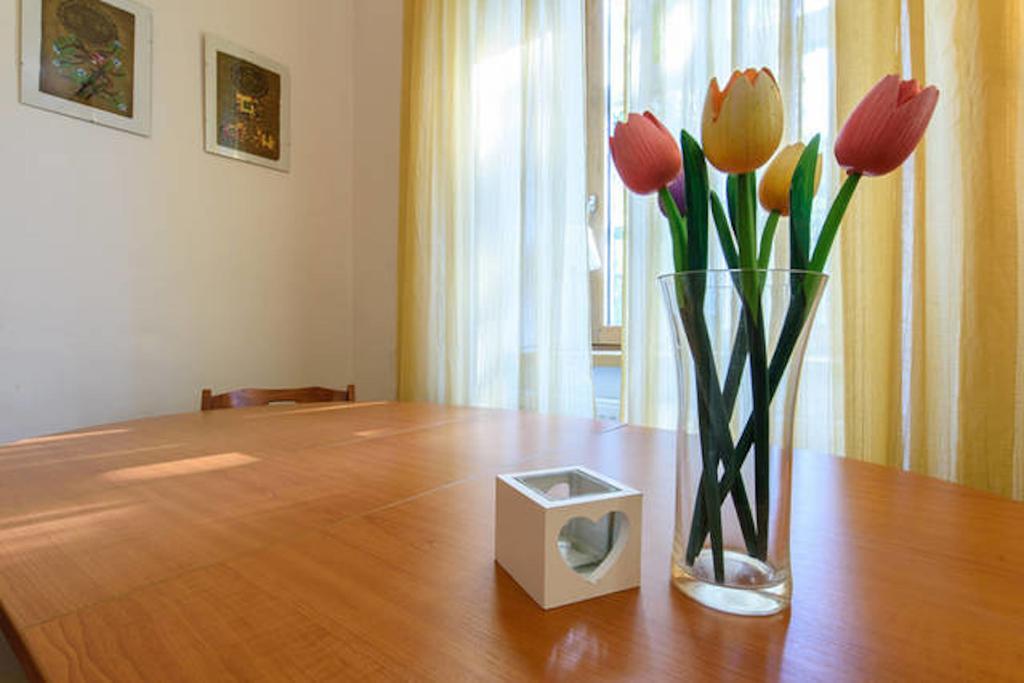 Transylvania Residence براشوف المظهر الخارجي الصورة